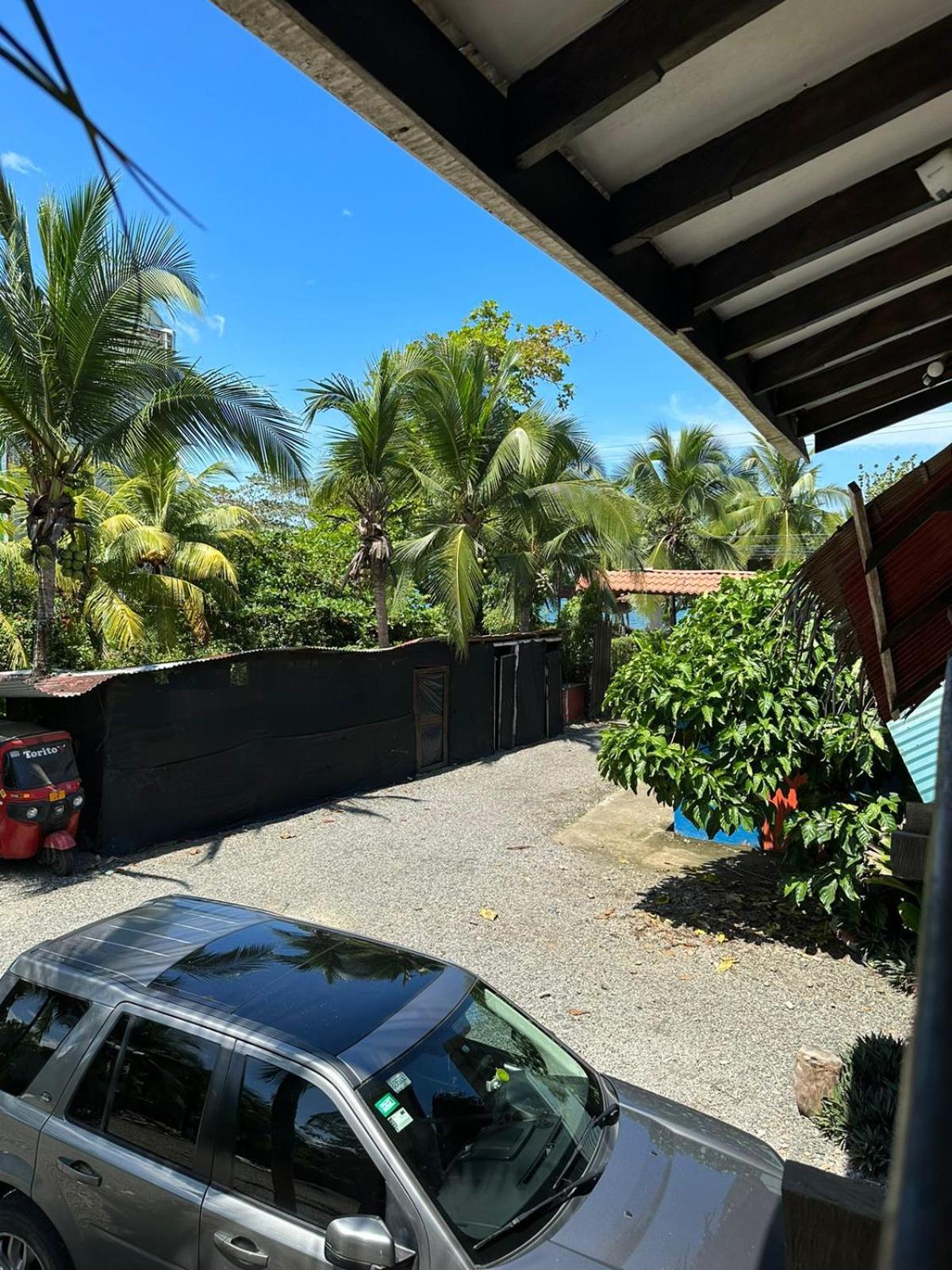 Playa Negra Brewing Beachfront Hotel Puerto Viejo de Talamanca Dış mekan fotoğraf