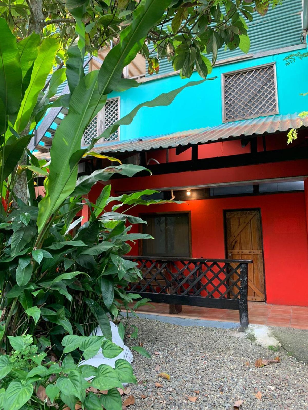 Playa Negra Brewing Beachfront Hotel Puerto Viejo de Talamanca Dış mekan fotoğraf