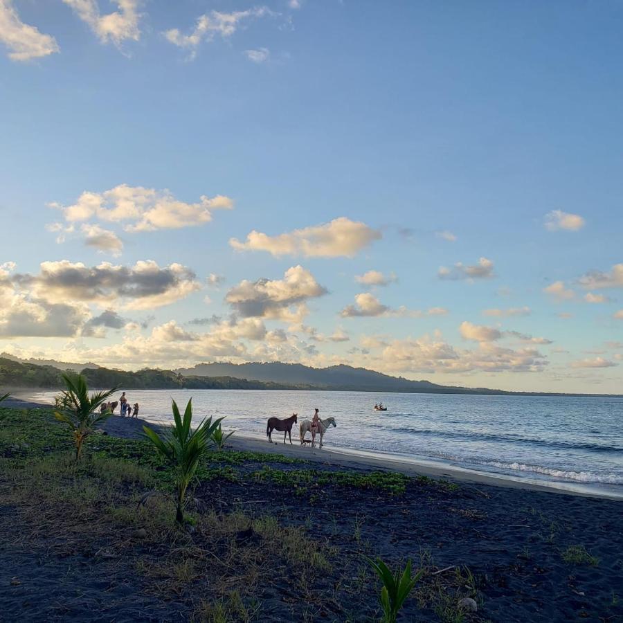 Playa Negra Brewing Beachfront Hotel Puerto Viejo de Talamanca Dış mekan fotoğraf